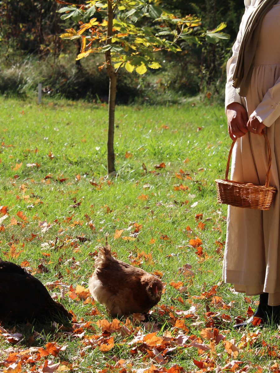 Une personne récolte des œufs, entourée de poules en liberté dans les feuilles d'automne.