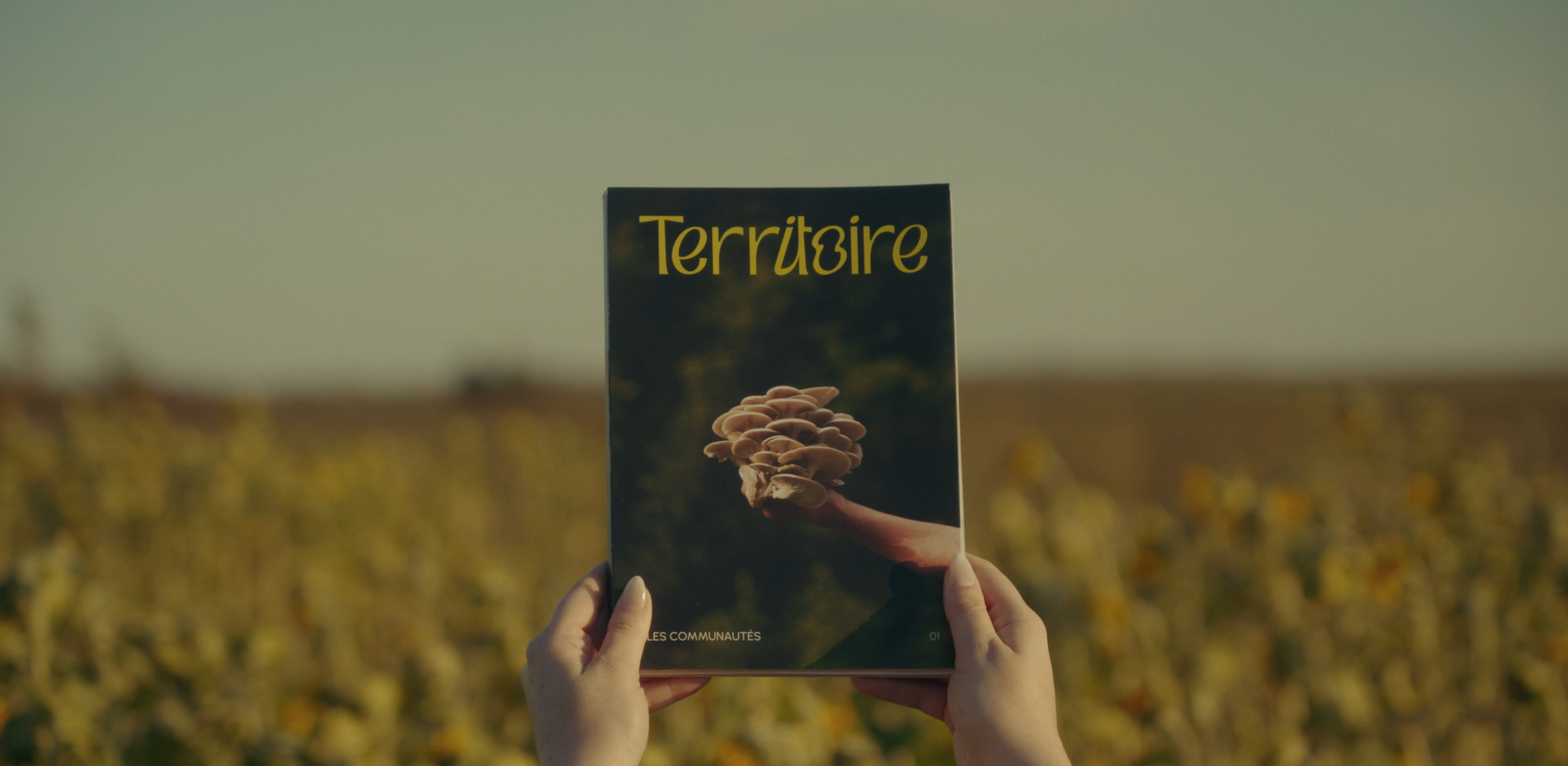 Le magazine Territoire N&deg;01, tenu dans un champ